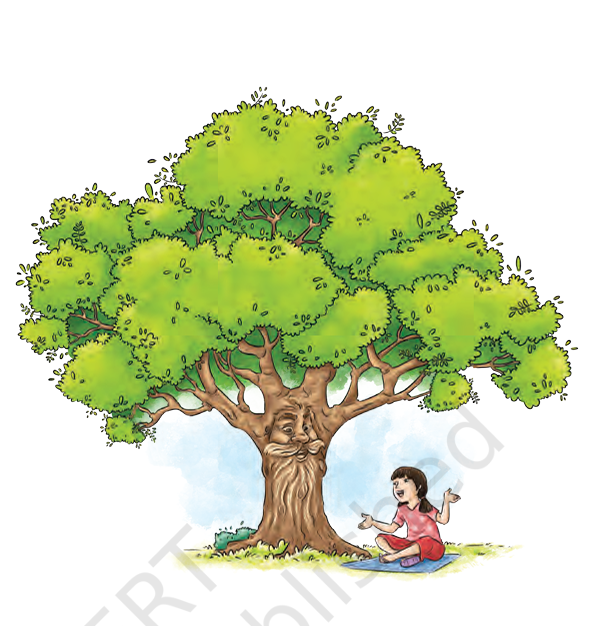 neem baba class 6 question answer
