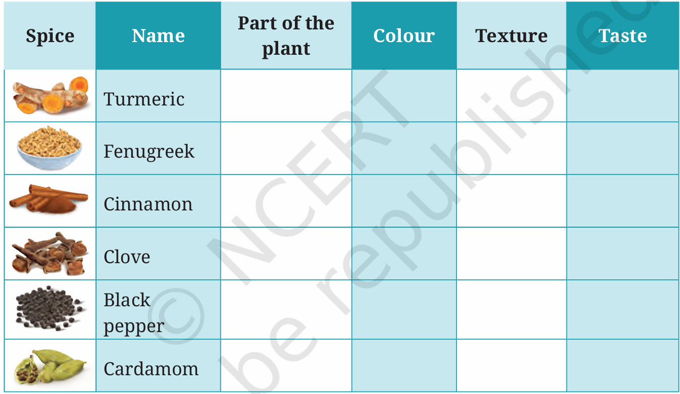 NCERT Class 6 English Chapter 9 Question Answer