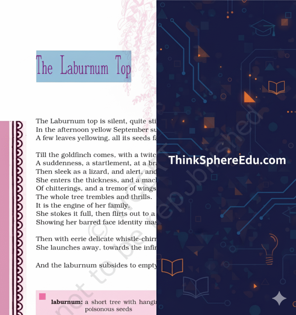 The Laburnum Top Questions And Answers Solved