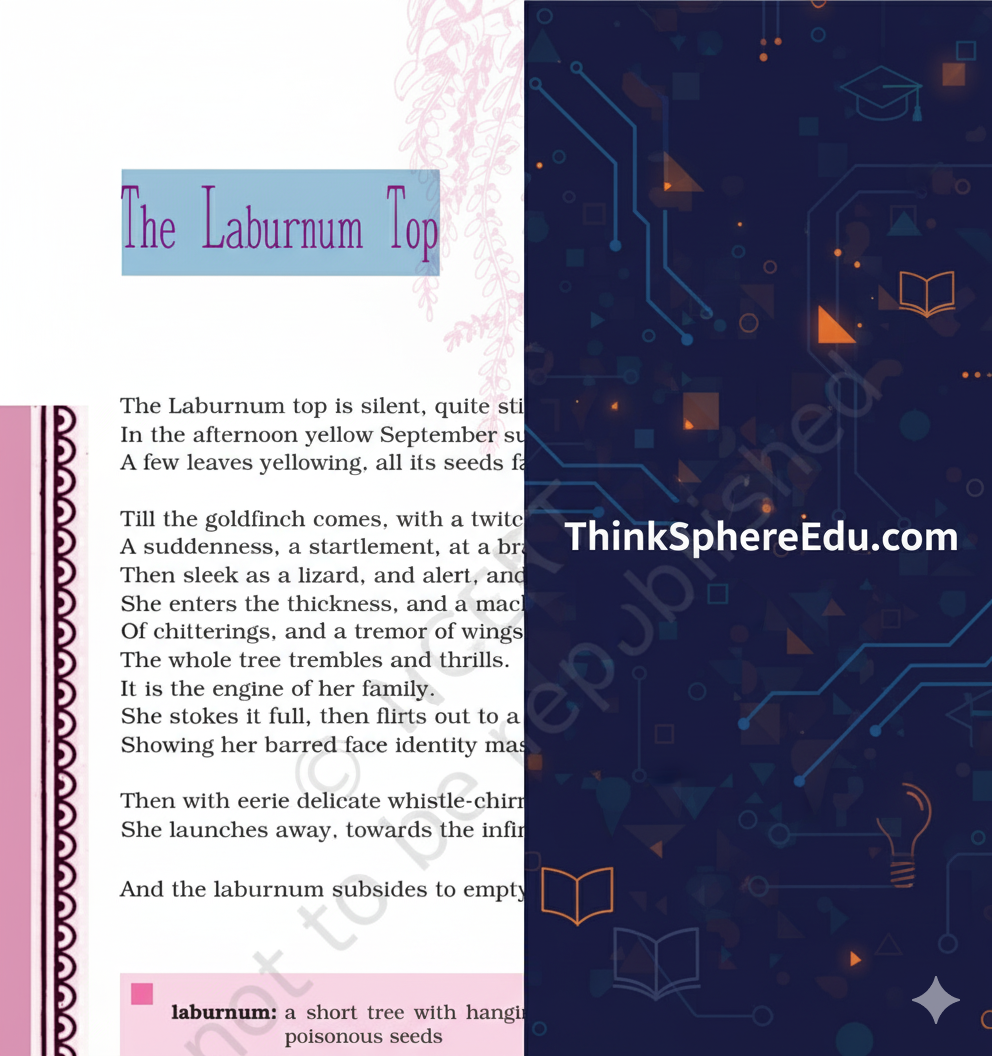 The Laburnum Top Questions And Answers Solved