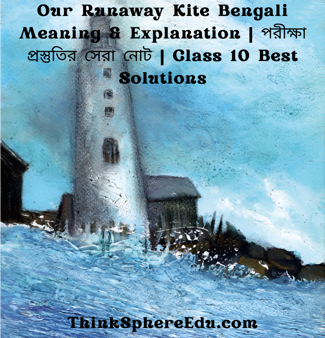 Our Runaway Kite Bengali Meaning & Explanation