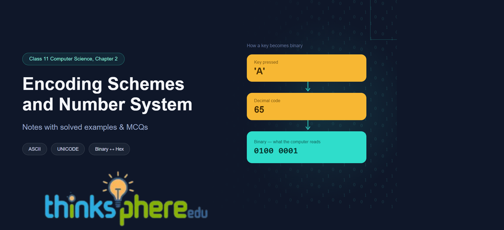 Encoding Schemes and Number System Class 11 Notes