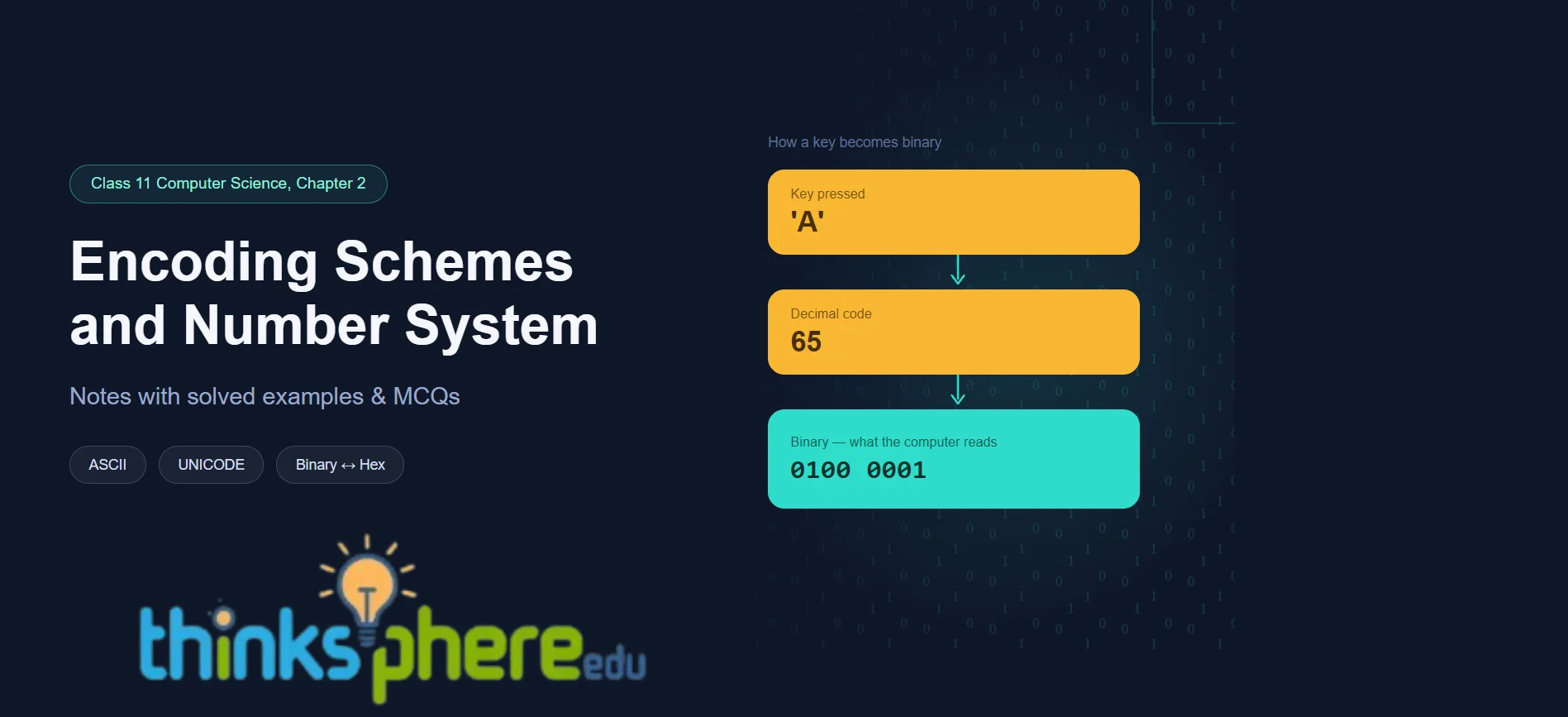 Encoding Schemes and Number System Class 11 Notes